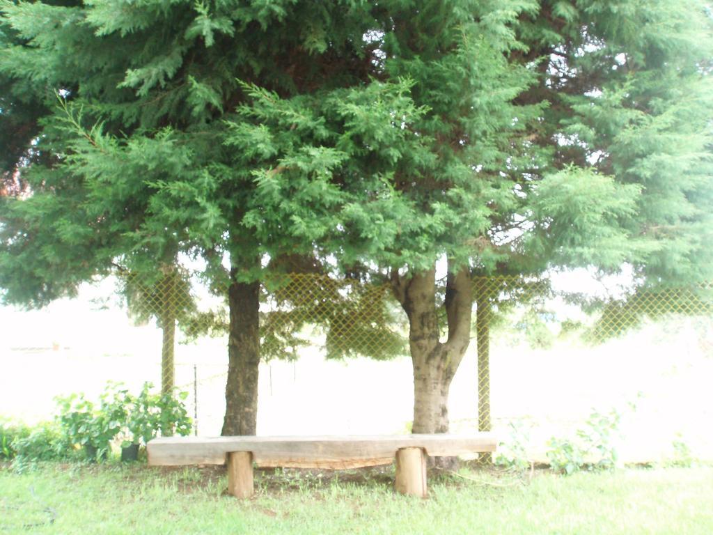 Hill View Bungalow Bed & Breakfast นูวาราเอลิยา ภายนอก รูปภาพ