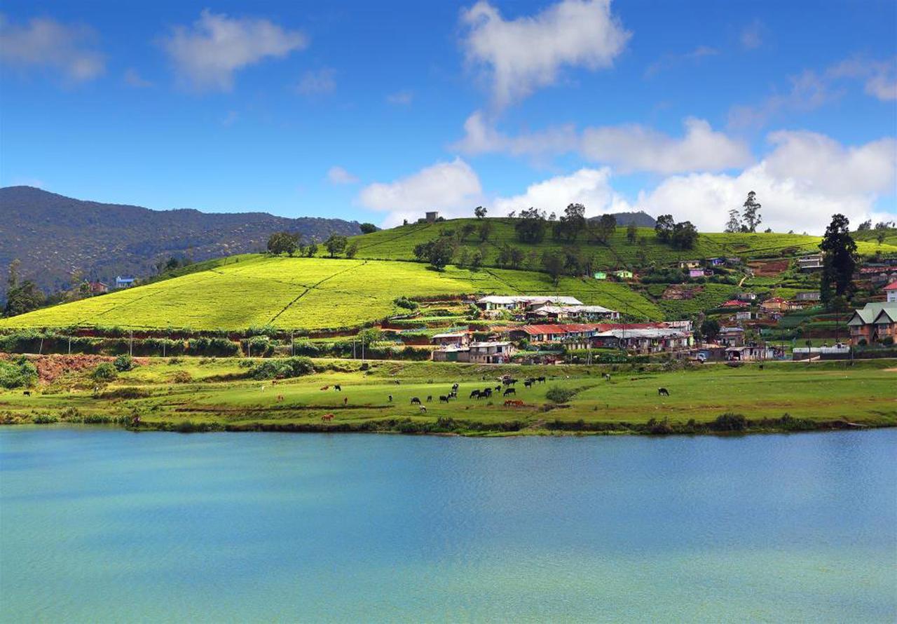 Hill View Bungalow Bed & Breakfast นูวาราเอลิยา ภายนอก รูปภาพ